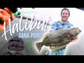 Kayak Fishing Dana point for Halibut! (Doheny State Beach)