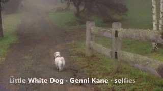 Little White Dog Music Video