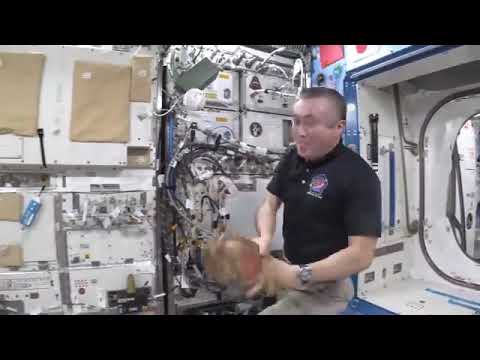 Watch Astronaut Koichi Wakata master the art of solo baseball on the ISS! In Credit: JAXA/NASA