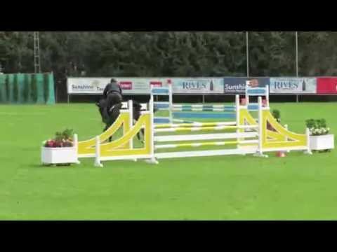 Showjumping horses for sale,  Diarado X Sandro Boy