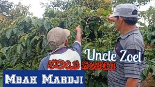 Download lagu UNCLE ZOEL SIDAK KEBUN MBAH MARDJI || Tukang Ngopi Jalan-jalan mp3