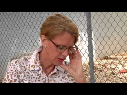 Diagnosing Rooster Floyd (S) l Brent Atwater Animal Medical Intuitive