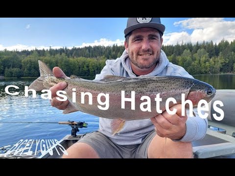 Stillwater Fly Fishing | Chasing Hatches - BCFLYGUYS Day Tripping S01E02