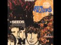 The Seeds - Now a Man