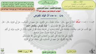 صورة شرح الجامع الكبير سنن الترمذي : باب ماجاء أن الولد للفراش - 1183 || ماهر ياسين الفحل