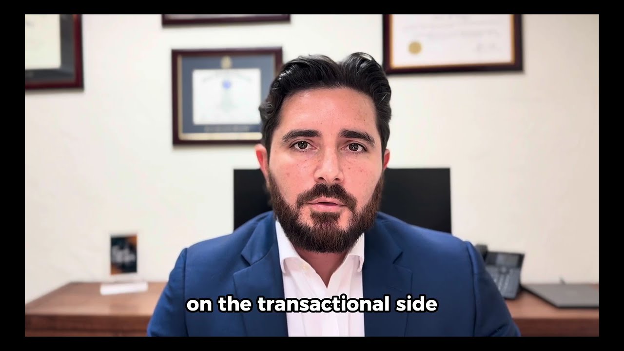 What kind of matters does Ortega Group handle?