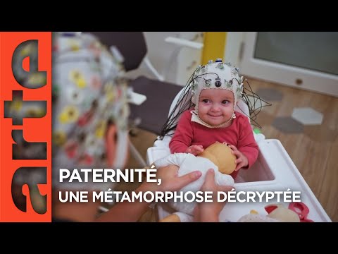 Paternité, une métamorphose décryptée | Documentaire | ARTE