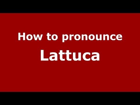 How to pronounce Lattuca (Italian/Italy)  - PronounceNames.com