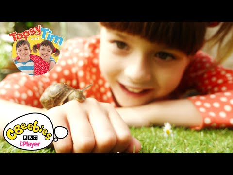 Topsy and Tim | Theme Tune | CBeebies