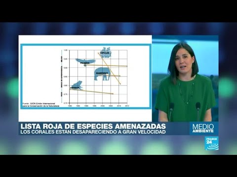 Más de 25.000 especies de animales, plantas y hongos están en peligro de extinción