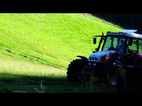 Steyr 9086 mit Pöttinger Novadisc 265 mähen