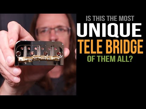 Is this the most unique Tele bridge of them all?