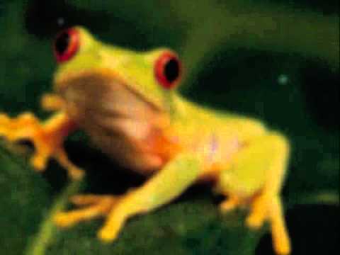 Chill Out essentials 2013 - 12. The Professionalism Project Theme (Original Mix)