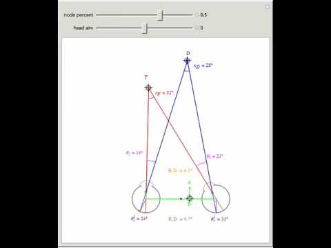 Binocular Disparity (Visual Depth Perception 7)