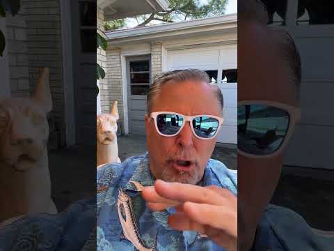 BiggieCheeze 🧀 #funny #comedy #jokes #funnyvideo #laugh