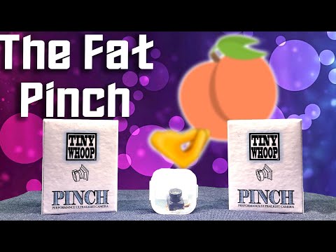 Tiny Whoop FAT Pinch | Rip & Review