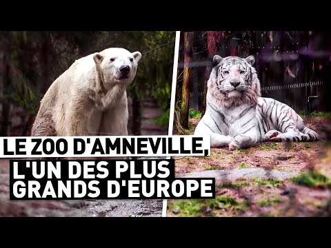 LE ZOO D'AMNEVILLE, L'UN DES PLUS GRANDS D'EUROPE