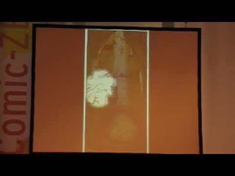 Faszination Comic 2008 - Der Deutsche Cartoonpreis 2008