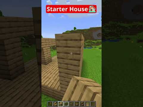 EPIC Minecraft Starter House 🏠 You Won't Believe!