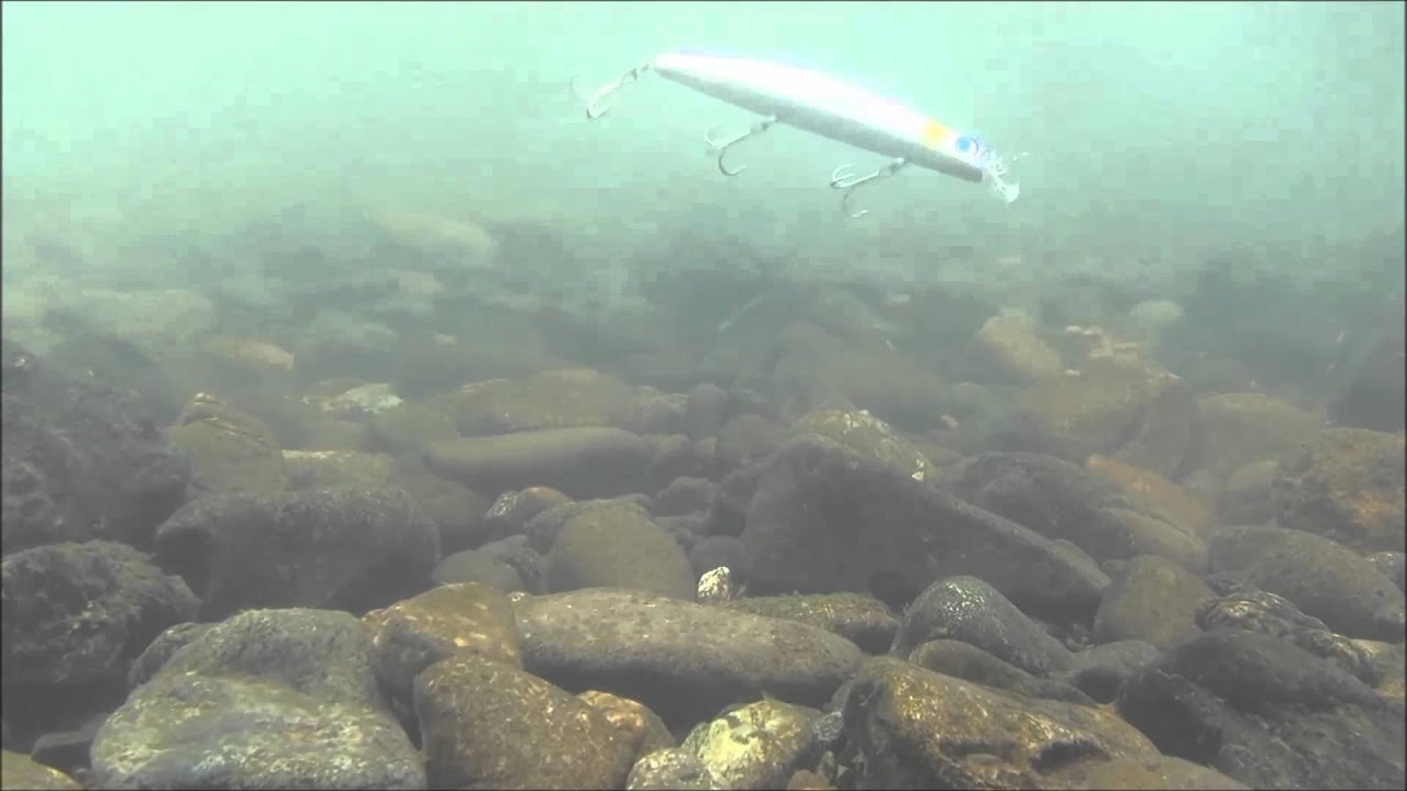 Mồi Lure JUMPRIZE Rowdy 130F