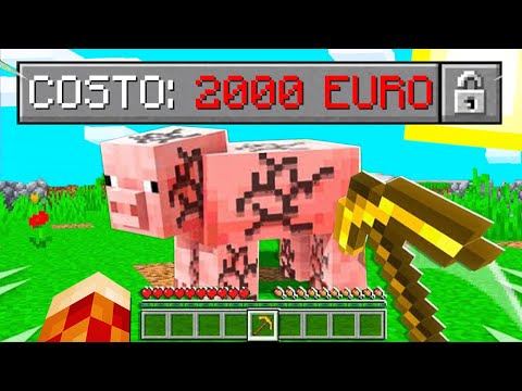 HO PAGATO QUESTO MONDO MALEDETTO DI MINECRAFT 2000 EURO!!