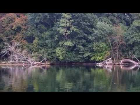 Filmografia #2 - Jezioro Morzycko