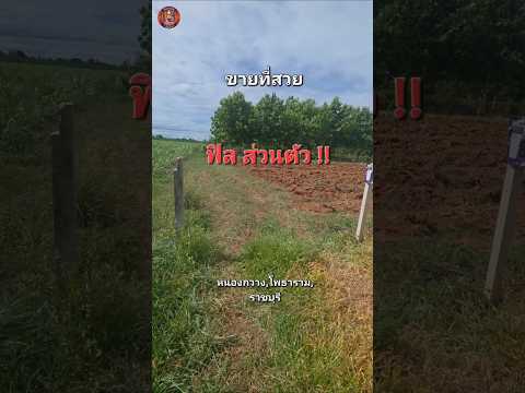 Land for sale, ready to use, 2 rai, Nong Kwang Subdistrict, Ratchaburi Province. – รูปที่ 2