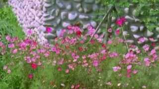 MARCO ANTONIO SOLIS (YA APRENDERAS.)By Marieஐஐஐ