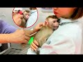 Poor Monkey Puka went to the hospital