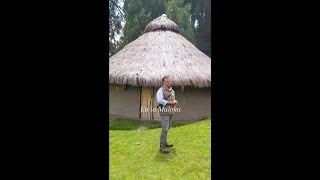 ¿Cómo reforestar en Colombia? 