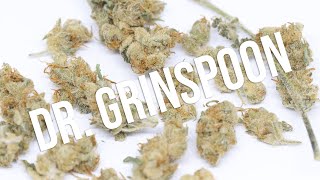 Dr Grinspoon