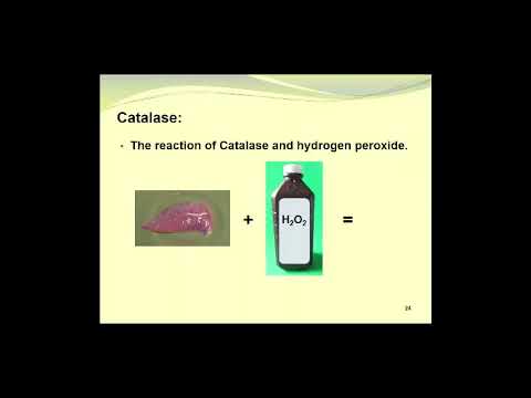 download lagu mp3 mp4 Blanching In Food Preservation, download lagu Blanching In Food Preservation gratis, unduh video klip Blanching In Food Preservation