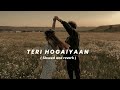 Teri Hogaiyaan [ Slowed and reverb ] stvrlightt
