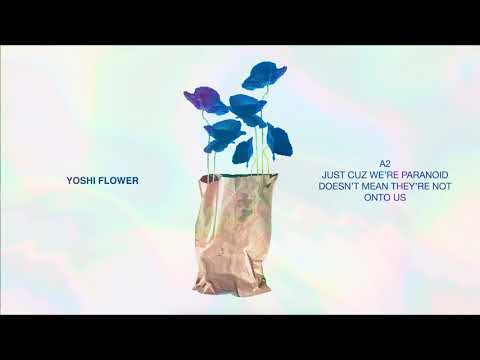 Yoshi Flower - Just Cuz We're Paranoid Doesn't Mean They're Not Onto Us [Lyrics]