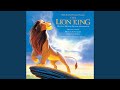 Circle of Life (From "The Lion King"/ Soundtrack)
