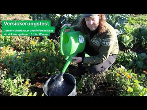 Bodenprobe: Versickerungstest auf dem Mikro Landwirtschaft Gemeinschaftsacker