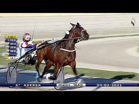 Aversa trotto 3 Febbraio 2021 - 5° Corsa