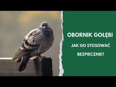 Pigeon manure in the garden - natural gold for plants, but only used wisely!