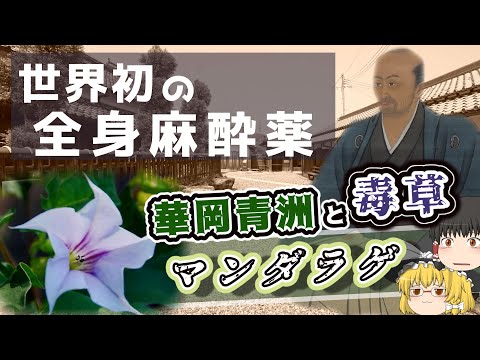 ホレス・ウェルズについて詳しく解説
