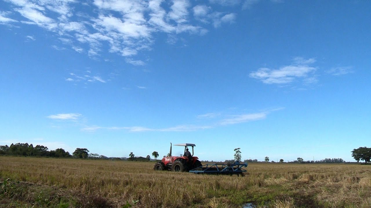 Manejo do solo na cultura do arroz
