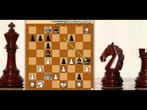 Promocija pesaka  u Damu - LARSEN vs SPASKI - SSSR protiv ostatka sveta # 245 sah i mat