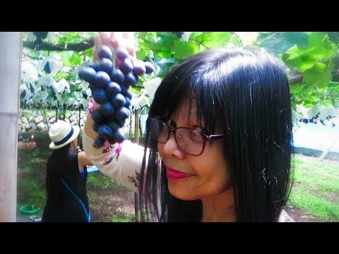 Jillian Michaels upang mawala ang timbang sa 30 araw 1 antas ng Diyeta sa mangayayat