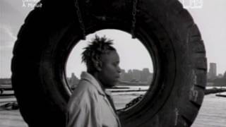 Fu Schnickens - breakdown