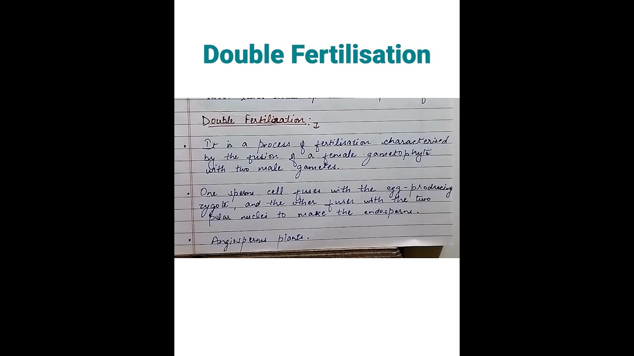 CBSE Class-10 Science Chapter-8 How Do Organisms Reproduce #sexualreproductioninfloweringplants