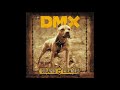 DMX Ruff Radio