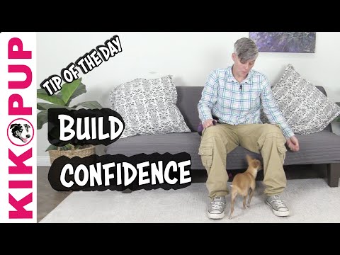 What is Clicker Training