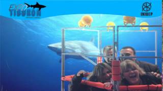 DIA 2 Expo Tiburon311