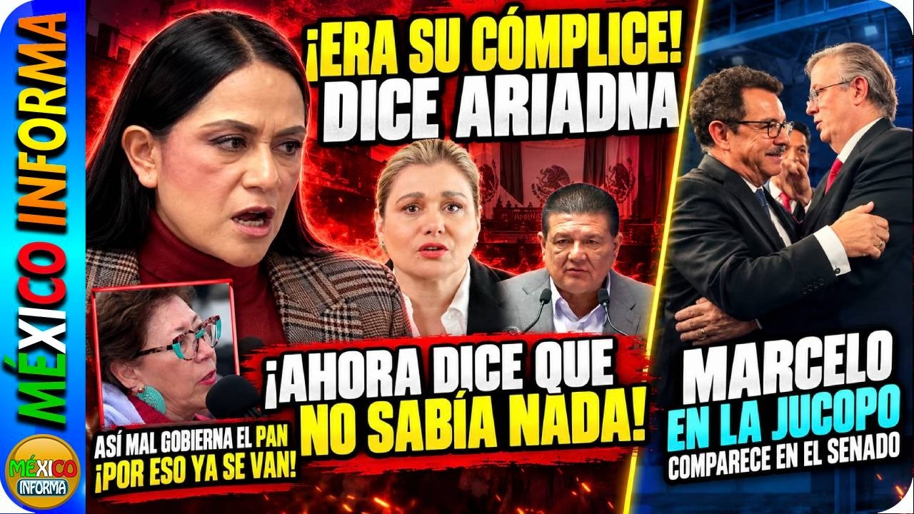 ERA SU CÓMPLICE DICE ARIADNA. ¡AHORA MARU CAMPOS DICE QUE NO SABÍA NADA!  MARCELO LLEGA AL SENADO.