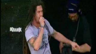 shadows fall thoughts without words live