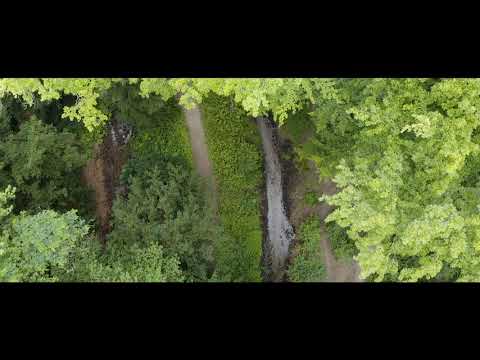 Wist jij dat de beken en sprengen van de Veluwe plekken zijn met een unieke ecologie?